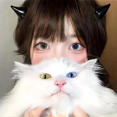 大河之舞:动画大冒险