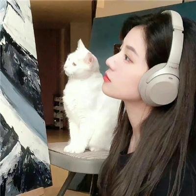 狗眼看人心